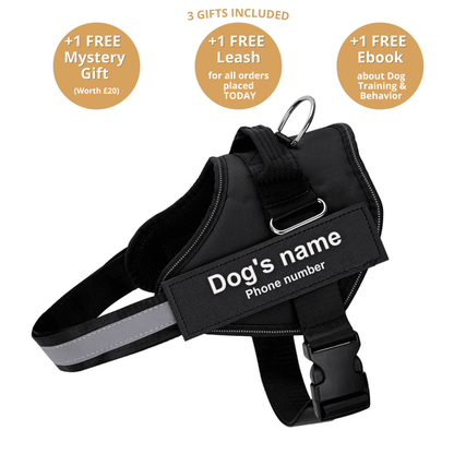 Ultimate Personalized No Pull Dog Harness