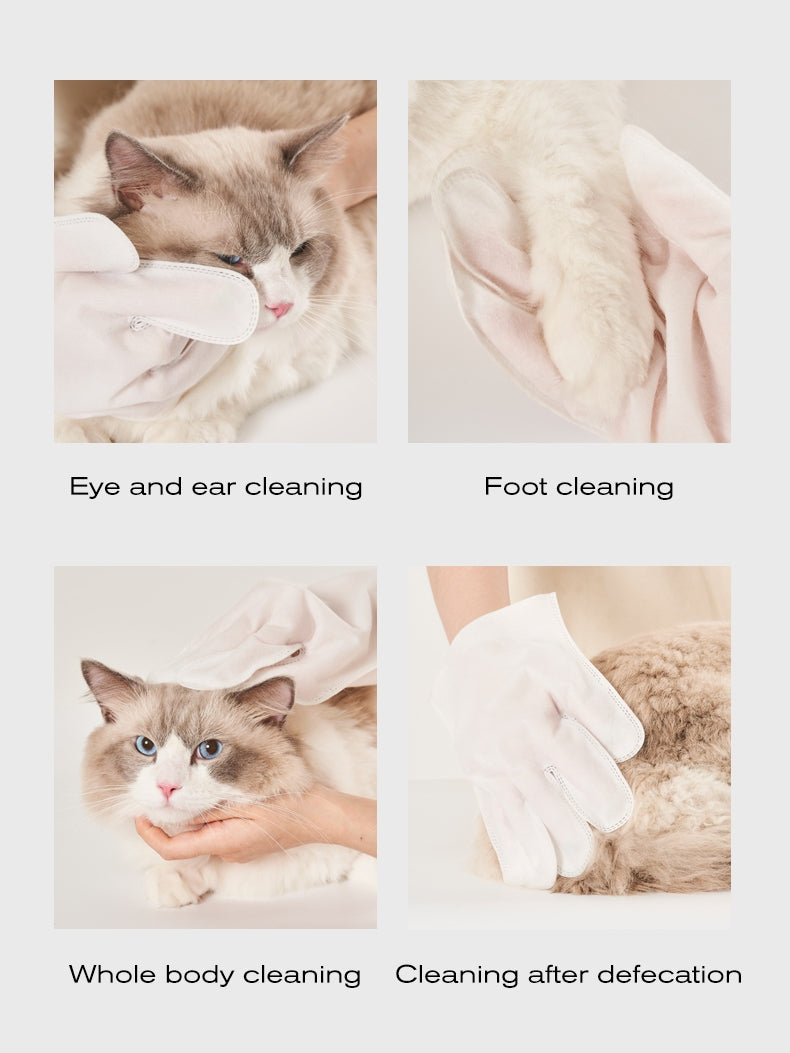 Cleaning Gloves