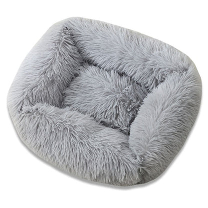 Ultimate Plush Luxurious Comfort Bed