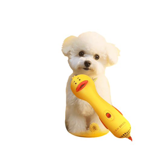 2 in 1 Hair Dryer + Ducky Dog Foam + Eye Tear Stain Remover + Pet Tear Stain Powder + Professional Eye Comb Bundle