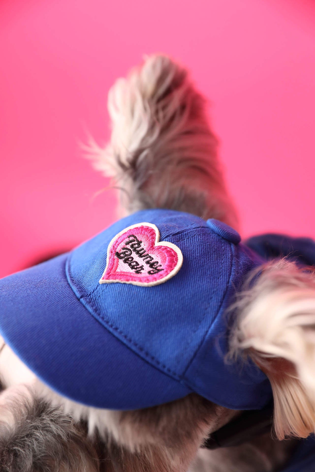 Gradient color sleeveless hooded sweatshirt for dogs