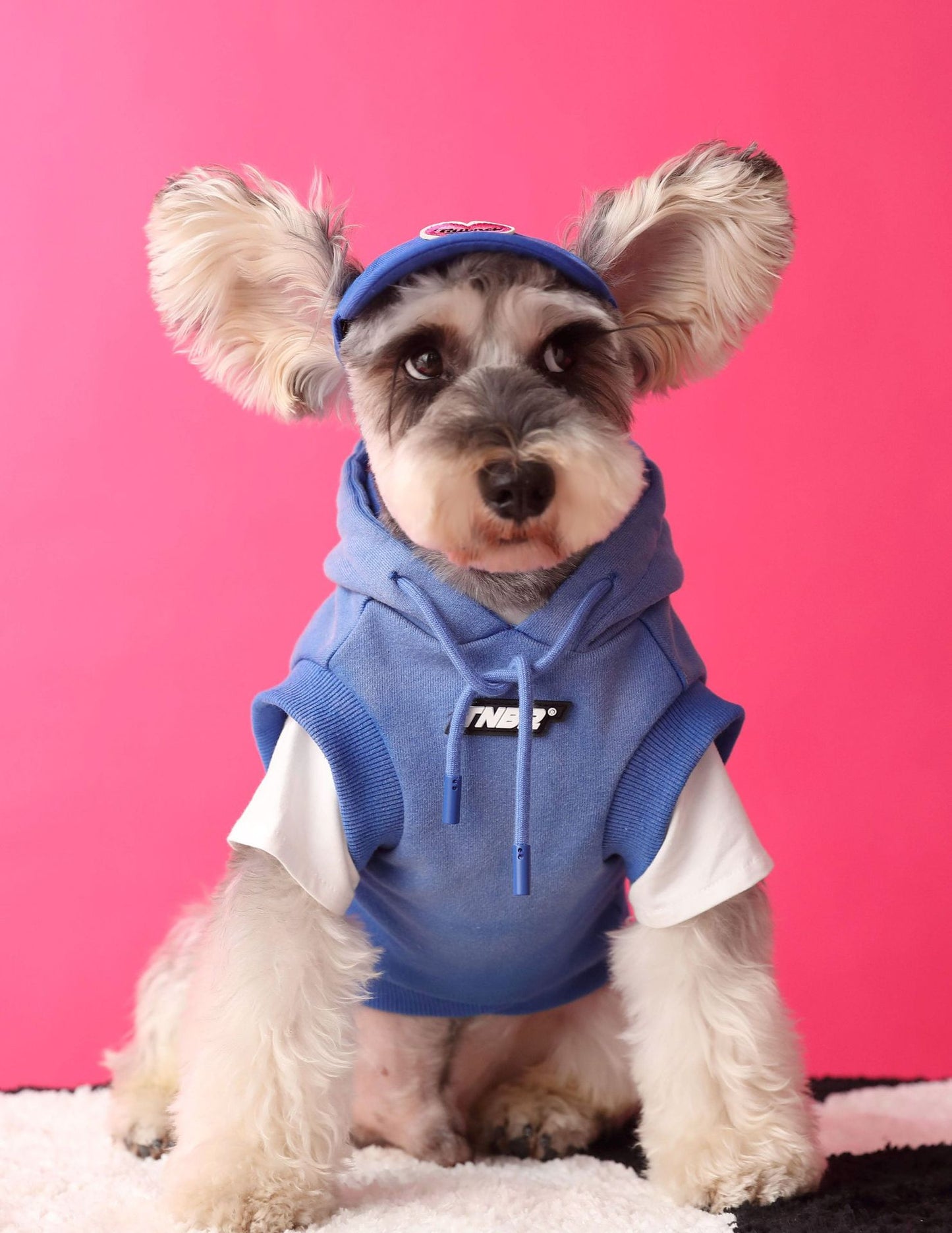Gradient color sleeveless hooded sweatshirt for dogs