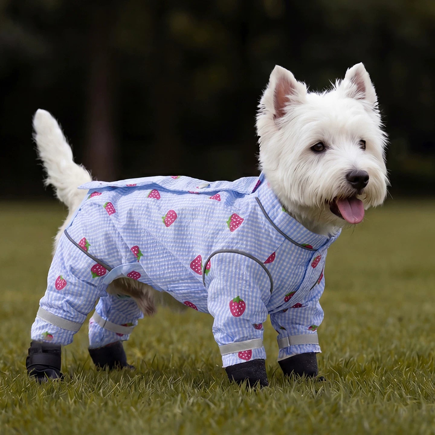 Dog Dustproof Jumpsui
