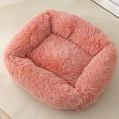 Ultimate Plush Luxurious Comfort Bed
