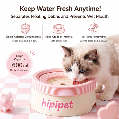 New dog bowl with a non-wetting mouth and floating water bowl