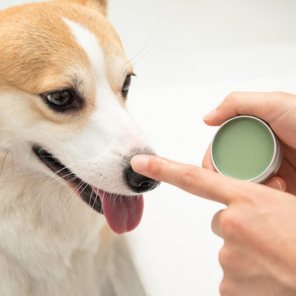 Sensitive Snout Soother