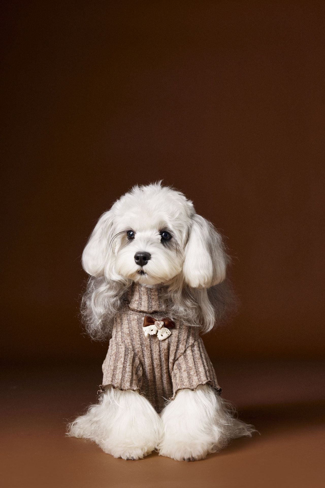 Lace - trimmed and bow - adorned undershirt for dogs