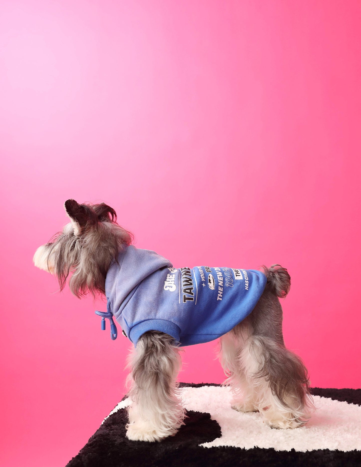Gradient color sleeveless hooded sweatshirt for dogs
