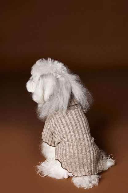 Lace - trimmed and bow - adorned undershirt for dogs
