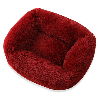 Ultimate Plush Luxurious Comfort Bed