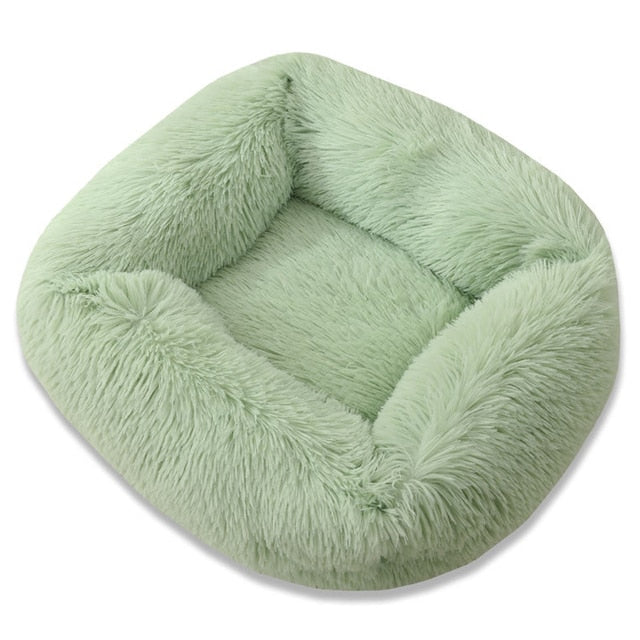 Ultimate Plush Luxurious Comfort Bed