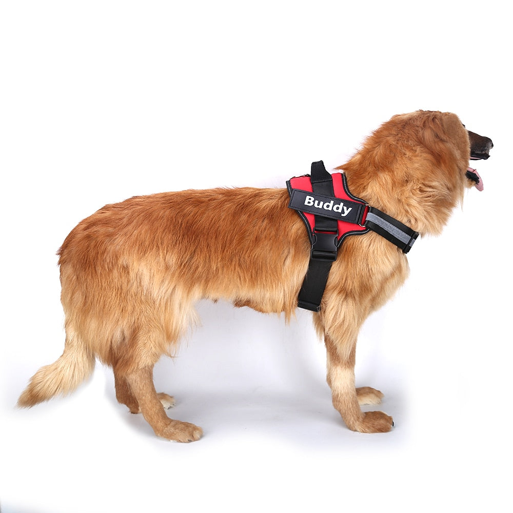 Ultimate Personalized No Pull Dog Harness