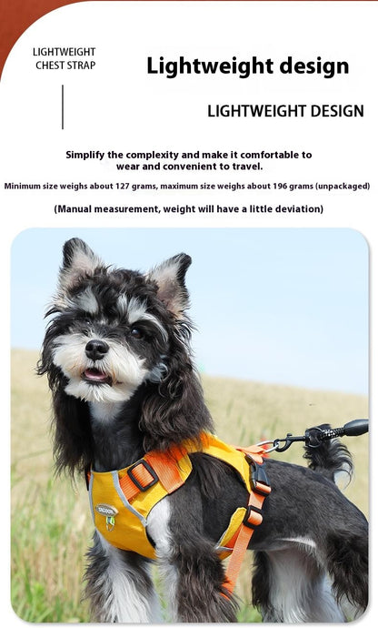Lightweight pet harness with reflective strips + a free small night light
