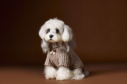 Lace - trimmed and bow - adorned undershirt for dogs