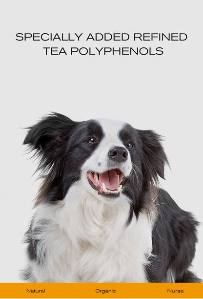 Oral Care Finger Cots Mega Bundle