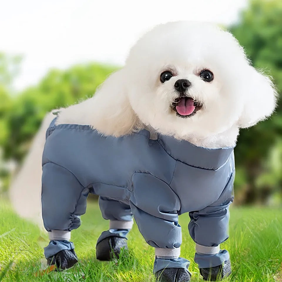 Dirtyproof Dog Jacket