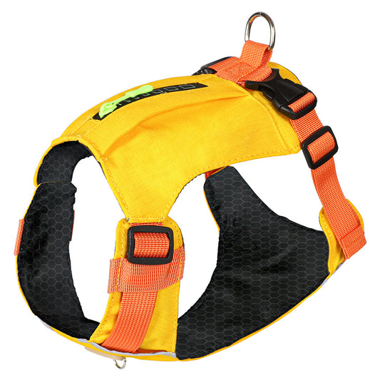 Lightweight pet harness with reflective strips + a free small night light