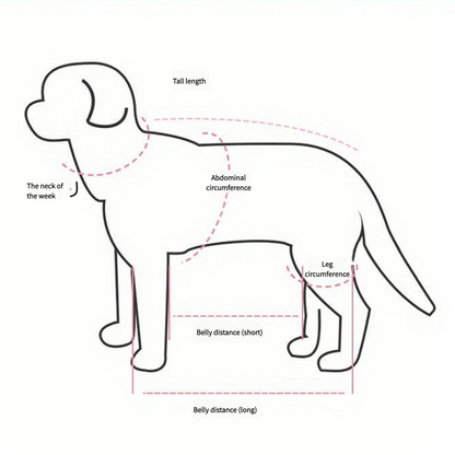 8203.Multifunctional Pet Carry Bag