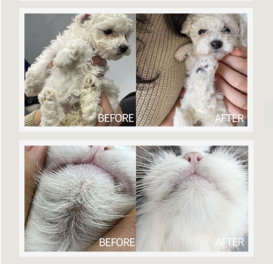 No-Rinse Pet Cleaner Foam