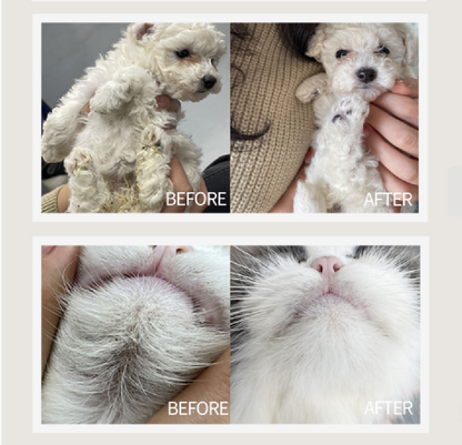 No-Rinse Pet Cleaner Foam