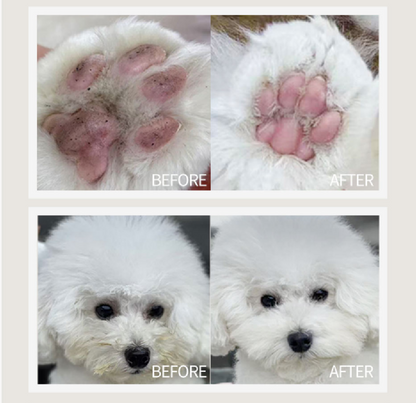 No-Rinse Pet Cleaner Foam