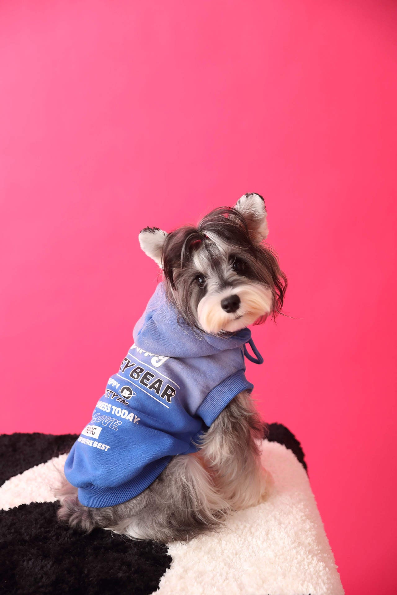 Gradient color sleeveless hooded sweatshirt for dogs