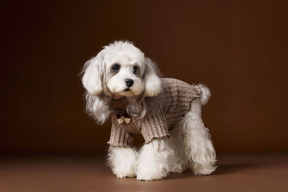Lace - trimmed and bow - adorned undershirt for dogs
