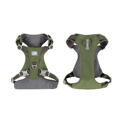 Stylish, cute and internet - famous pet harness