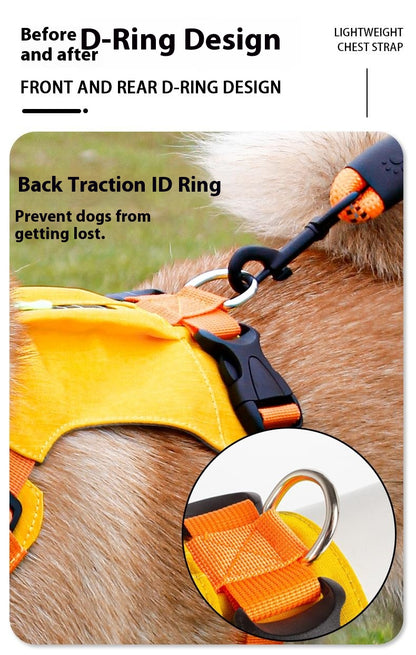Lightweight pet harness with reflective strips + a free small night light