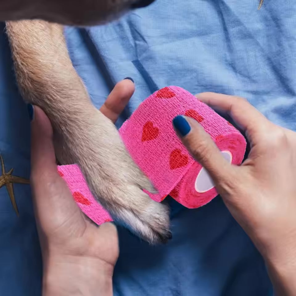Staubabweisender Verband für Hunde