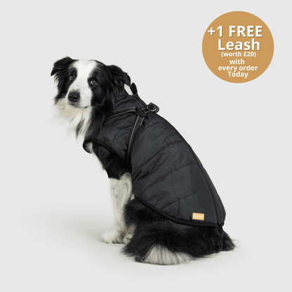 Dog 3 in 1 Jacket