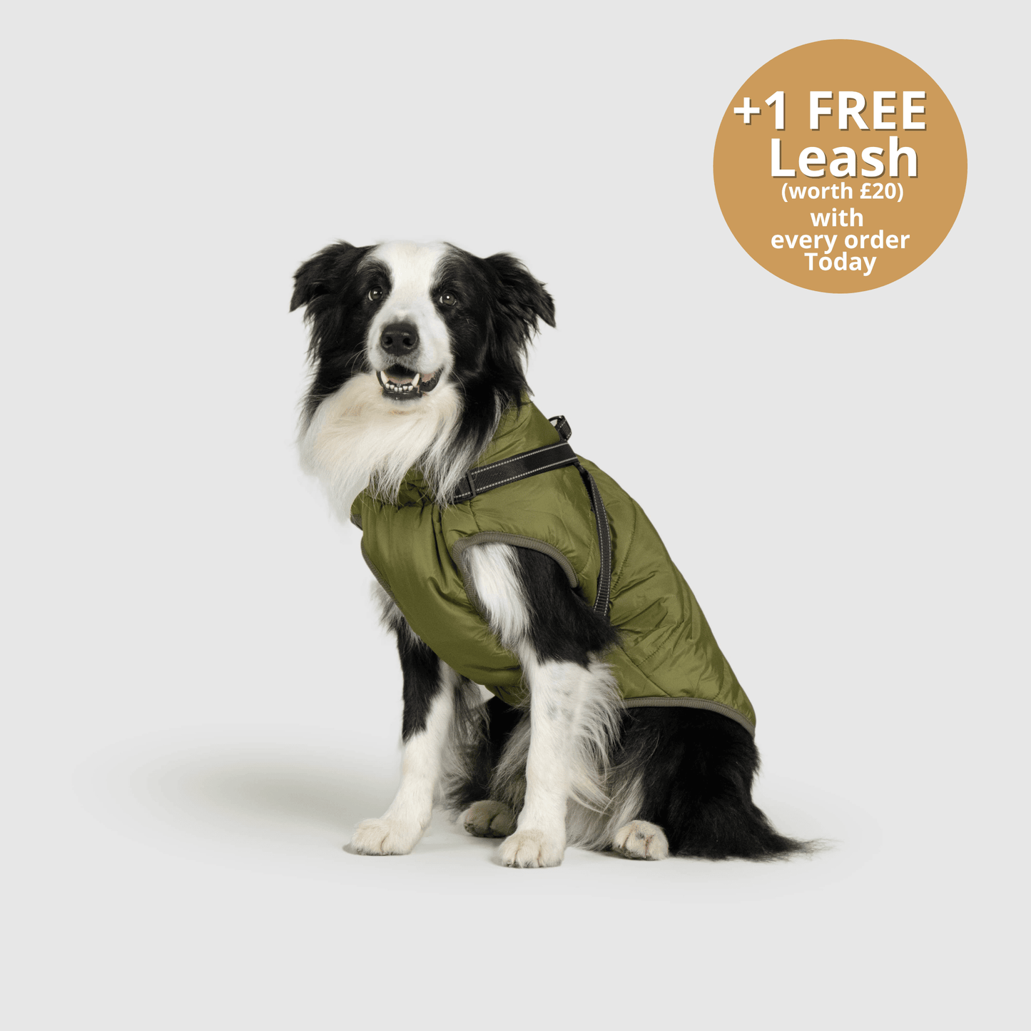 Dog 3 in 1 Jacket