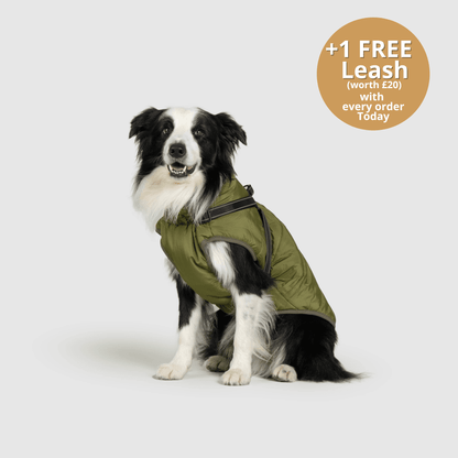 Dog 3 in 1 Jacket