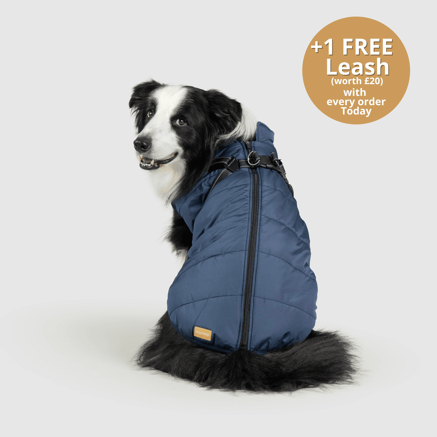 Dog 3 in 1 Jacket