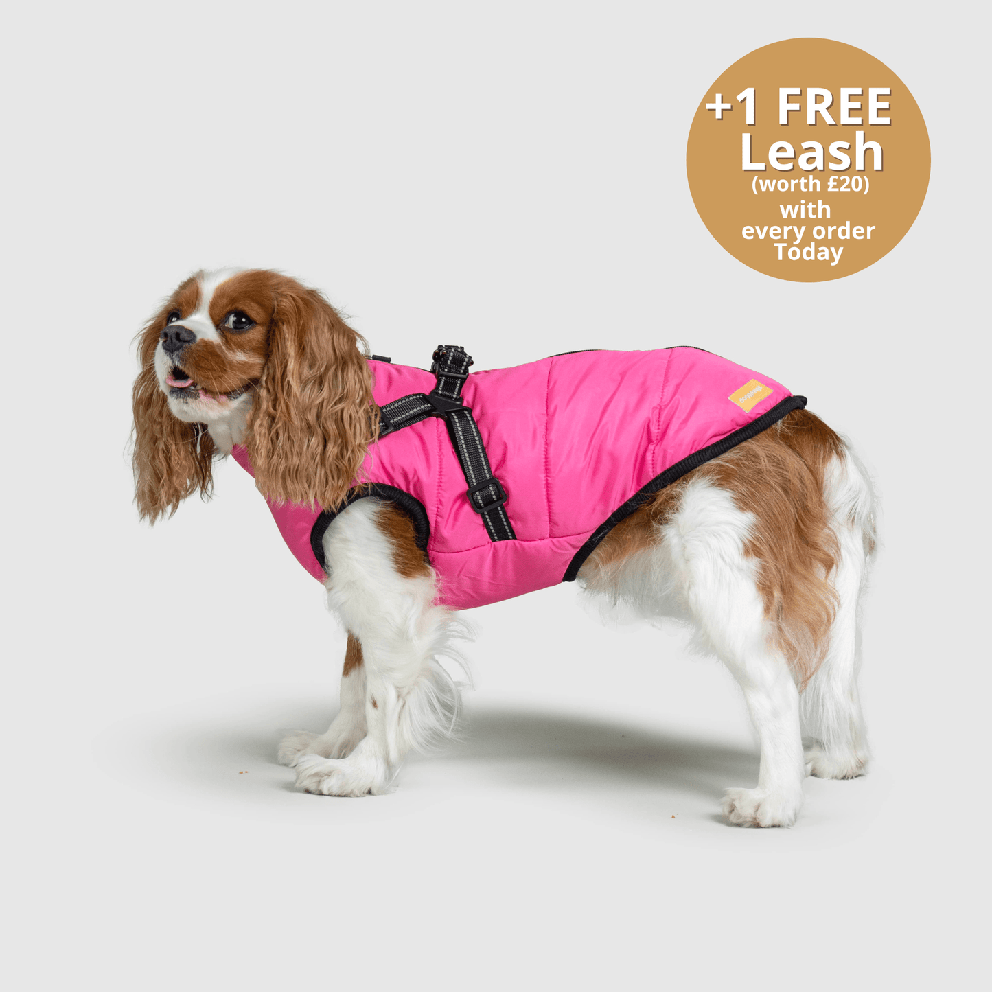 Dog 3 in 1 Jacket
