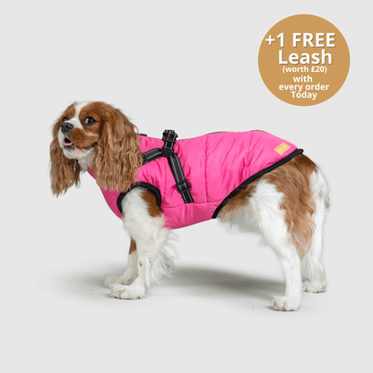 Dog 3 in 1 Jacket