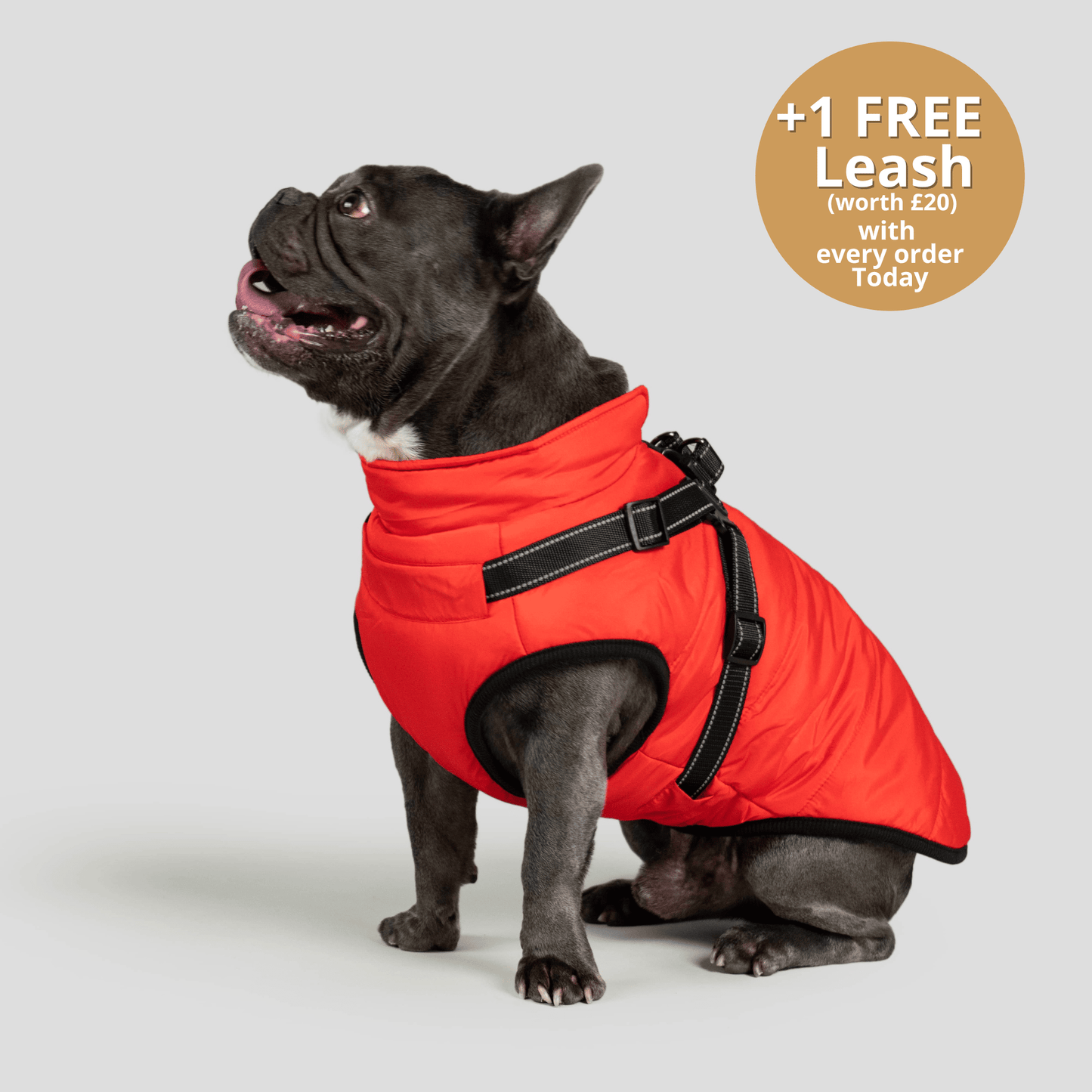 Dog 3 in 1 Jacket
