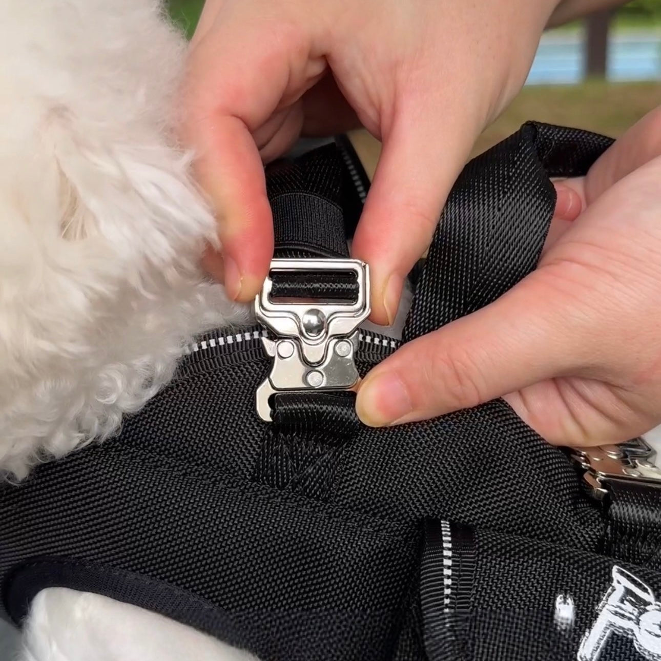 Pet Cross Backpack