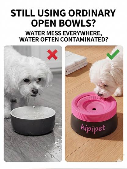 New dog bowl with a non-wetting mouth and floating water bowl