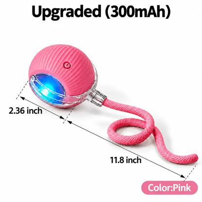 Interactive Cat & Dog Teaser Toy with Two Additional Tails, Kitten Rolling Ball Toy, Pet Supplies, Dog & Cat Accessories Cute dog toys
