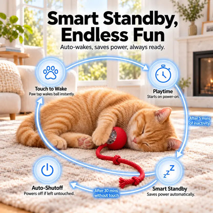 Interactive Cat & Dog Teaser Toy with Two Additional Tails, Kitten Rolling Ball Toy, Pet Supplies, Dog & Cat Accessories Cute dog toys