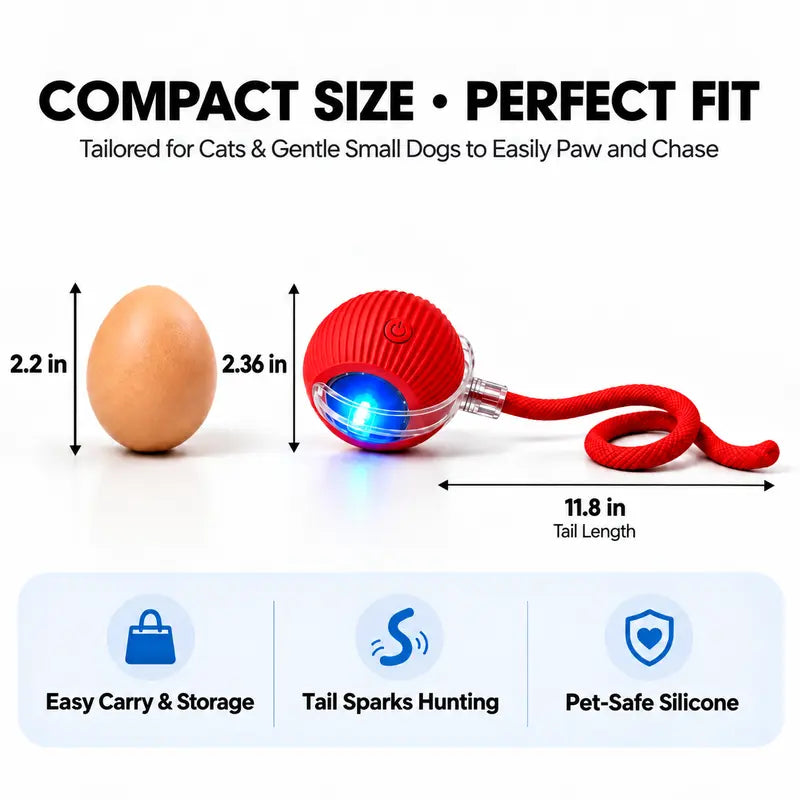 Interactive Cat & Dog Teaser Toy with Two Additional Tails, Kitten Rolling Ball Toy, Pet Supplies, Dog & Cat Accessories Cute dog toys