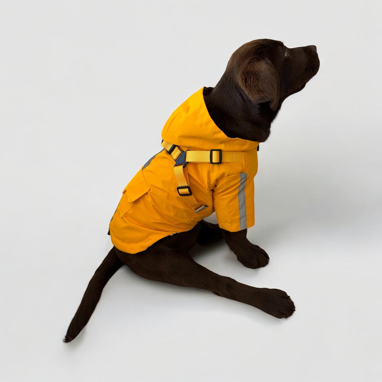 3 in 1 Rain Coat