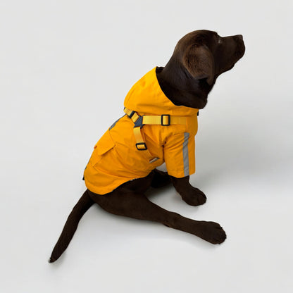 3 in 1 Rain Coat