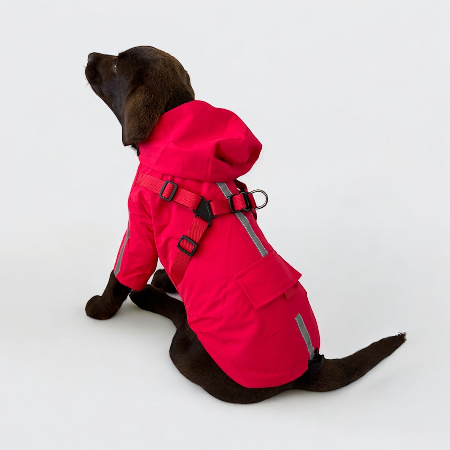 3 in 1 Rain Coat