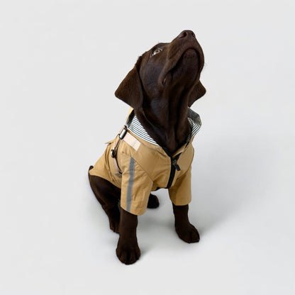 3 in 1 Rain Coat