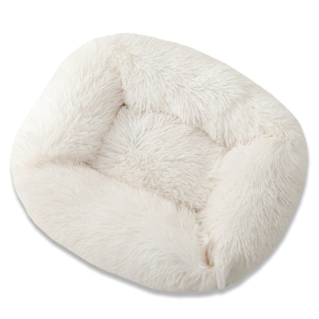 Ultimate Plush Luxurious Comfort Bed