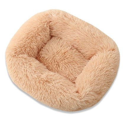 Ultimate Plush Luxurious Comfort Bed