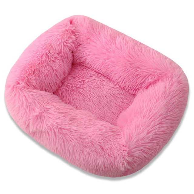 Ultimate Plush Luxurious Comfort Bed