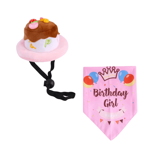 Candy Colored Pet Birthday Dress Up Set